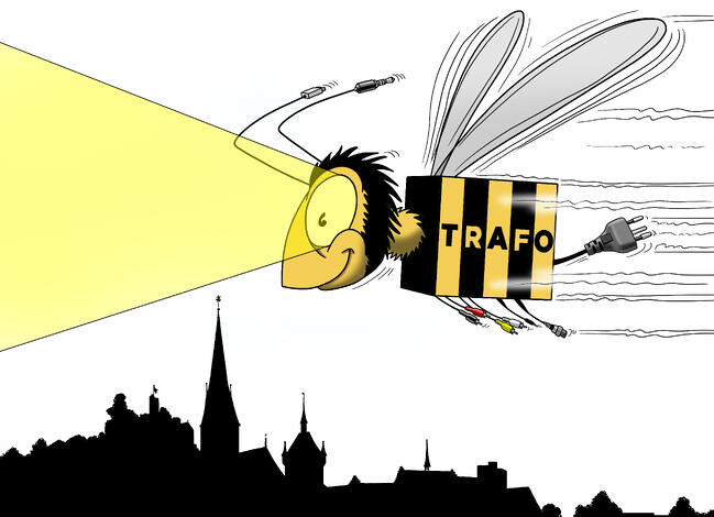 Die Technik Biene von Habegger