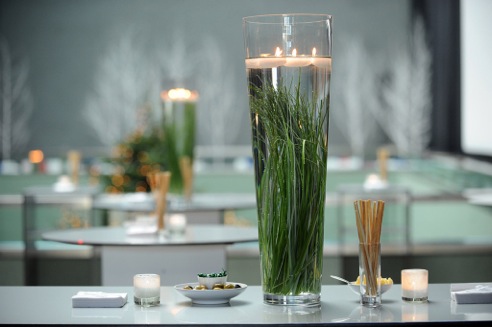 Trafo Baden Partner Doris Haller