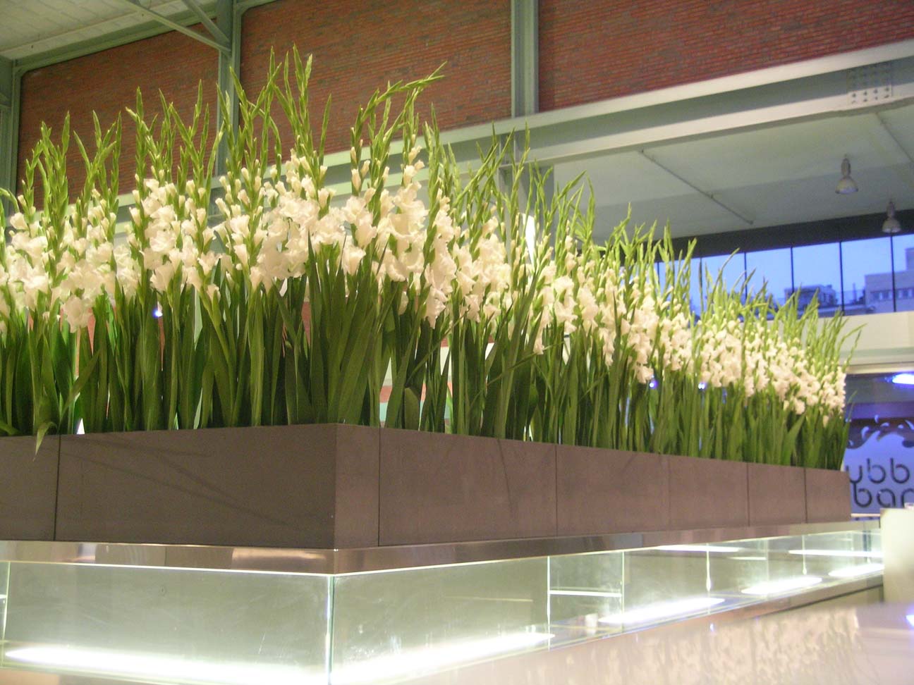 Doris Haller Partner Trafo Baden