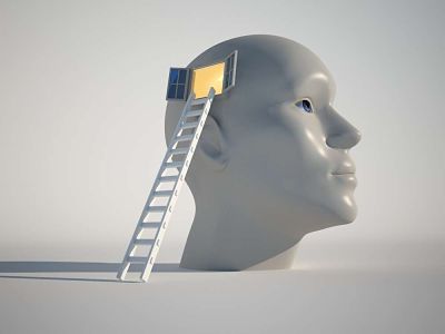 Neuromarketing La Folie