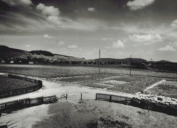 Gemüseanbau_Tägerhard_1941