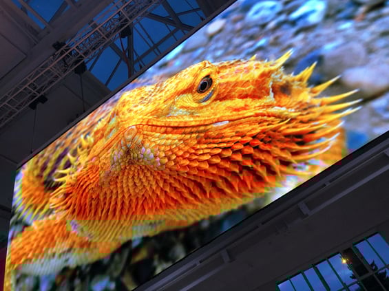 Foto 20.12.18, 16 53 43